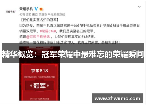 精华概览：冠军荣耀中最难忘的荣耀瞬间